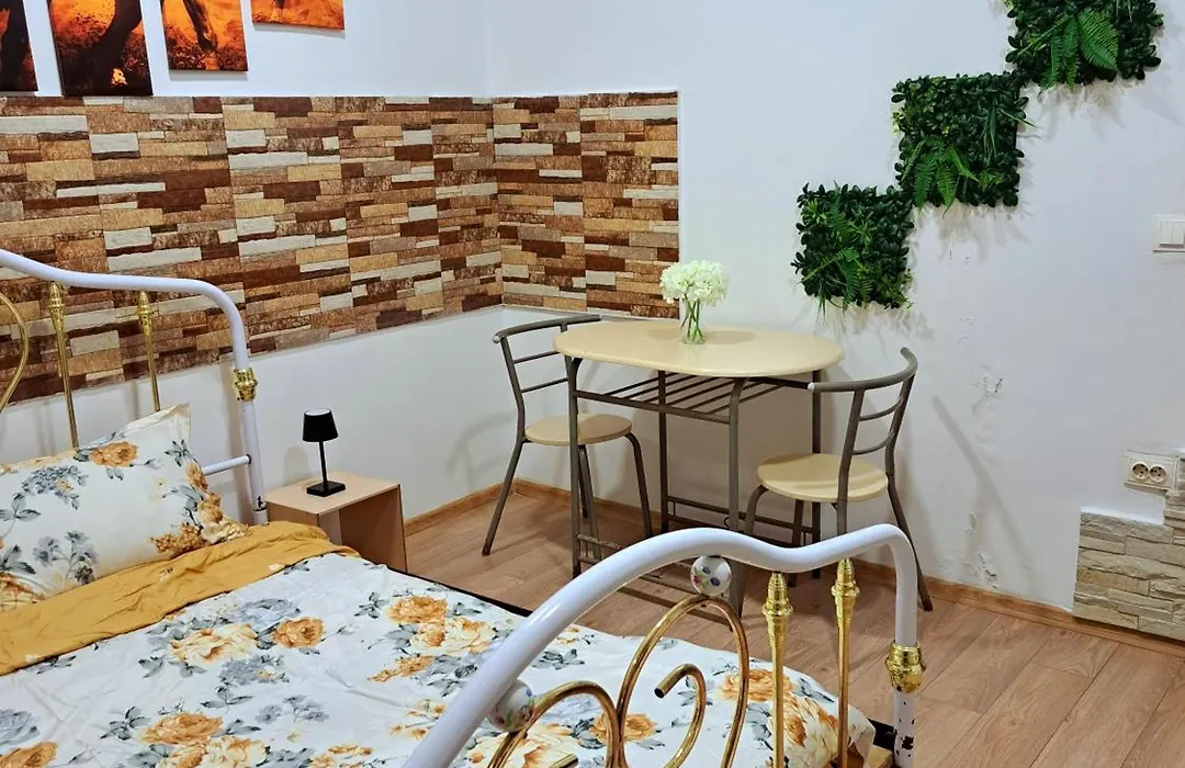 Regim Hotelier Pietonală-1